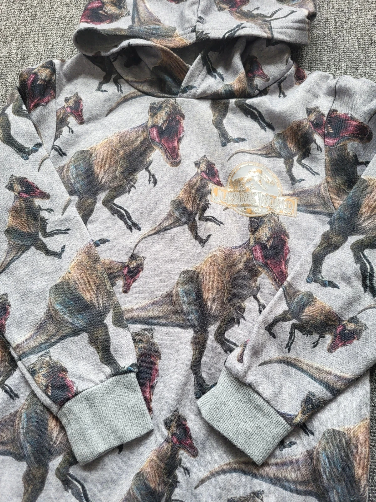 Moletom com Capuz Jurassic World H&M 6-8 Anos 122/128 Dinossauros – photo 3
